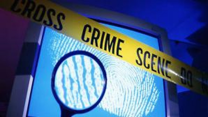 ilustrasi cyber crime