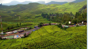 Kawasan Puncak, Bogor, Jawa Barat