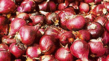 bawang merah
