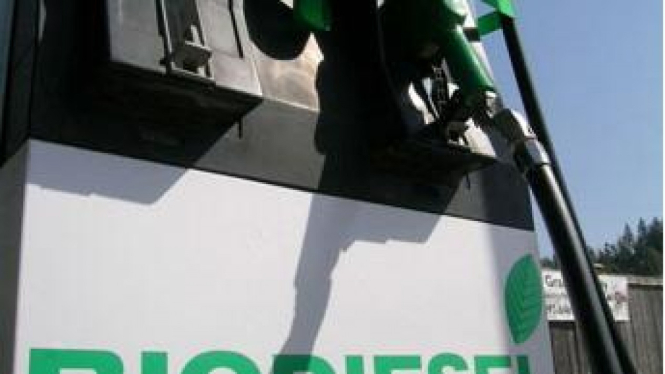 Biodiesel