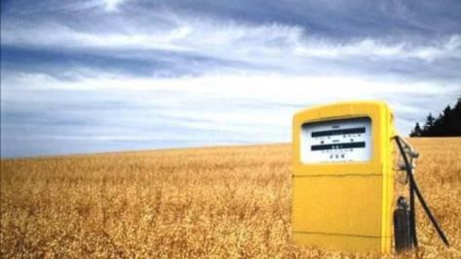 Ilustrasi Biofuel