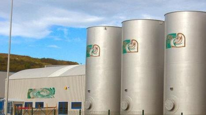 Pabrik biofuel di Afrika Timur