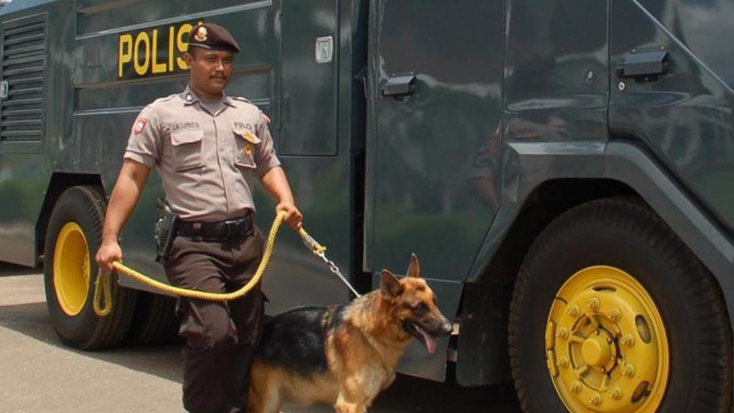 Unit K-9 Kepolisian membawa anjing pelacak