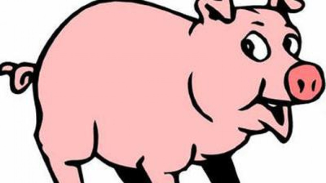 Ilustrasi Babi 