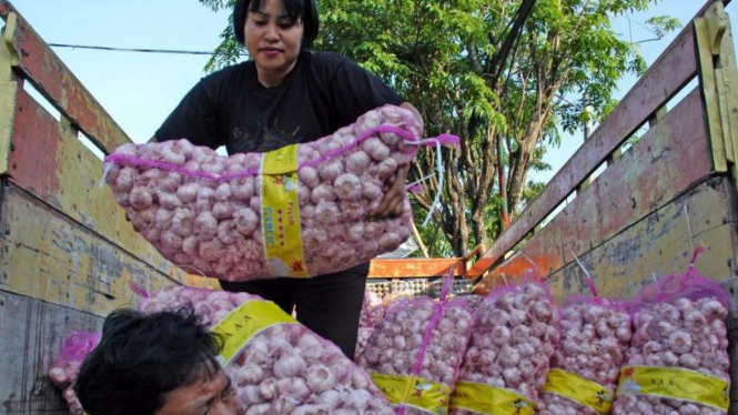 Ilustrasi Impor bawang Putih.