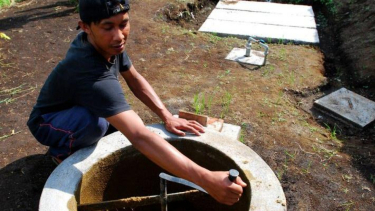 Mengaduk kotoran sapi.
