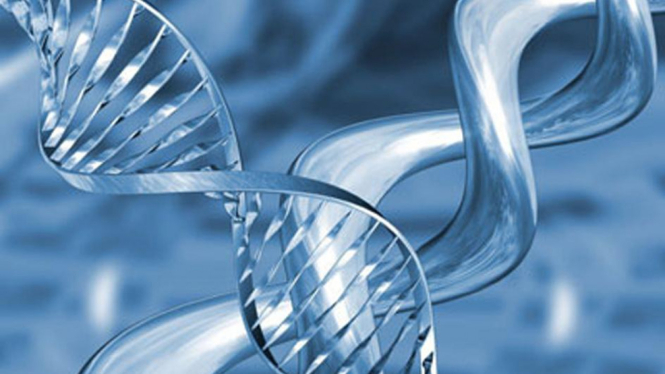 DNA