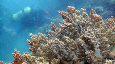 Kawasan Taman Wisata Laut Pulau Sangiang, Banten
