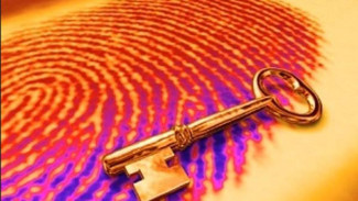 Sidik Jari Palsu Bisa Tembus Sistem Biometrik