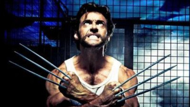 Wolverine