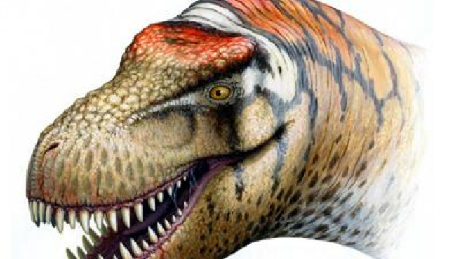 Zhucengtyrannus magnus, tyrannosaurus besar dari Zhucheng, China