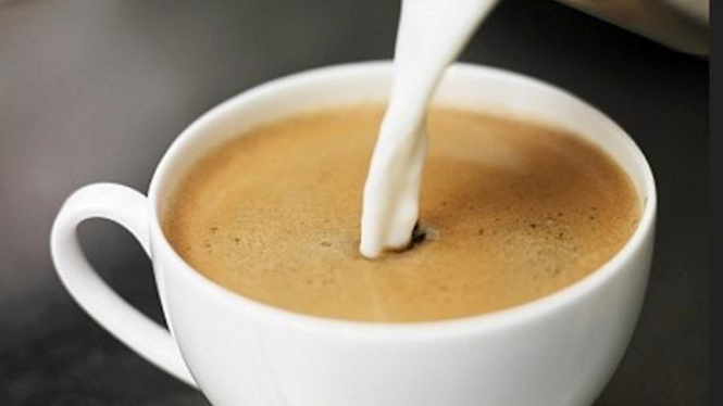 teh susu