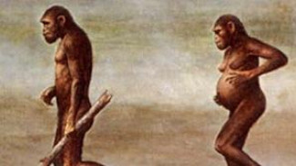 Lucy, Nenek Moyang Manusia Meninggal Akibat Jatuh dari Pohon
