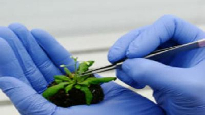 Pengertian bioteknologi.