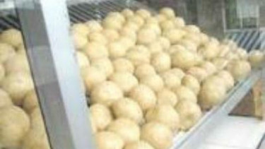 Tahu bulat