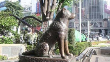 Hachiko