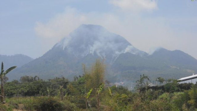 Hutan di Gunung Panderman terbakar