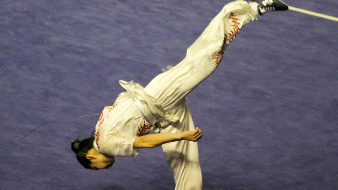 Ilustrasi Wushu