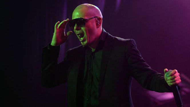 Pitbull 