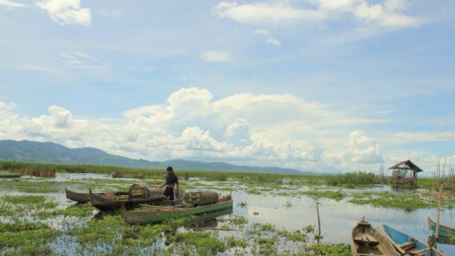 Ilustrasi danau,