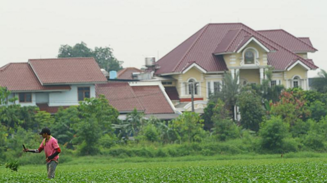 Petani Metropolitan