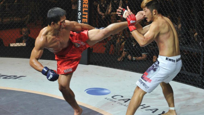 Salah satu pertarungan ONE Fighting Championship