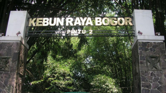 Kebun Raya Bogor
