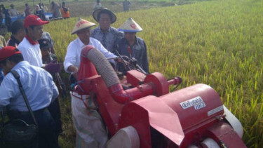 Dahlan Iskan panen padi