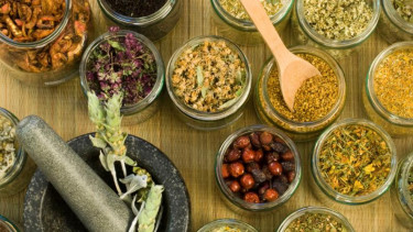 Obat-obatan Herbal