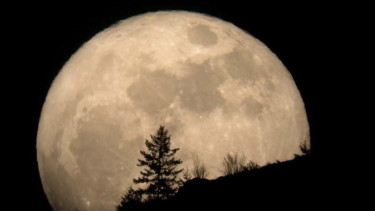 Bulan