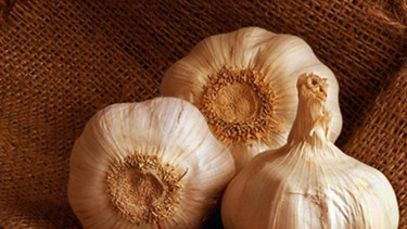 Bawang putih