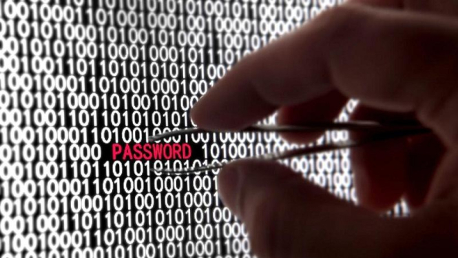 Mambajak password