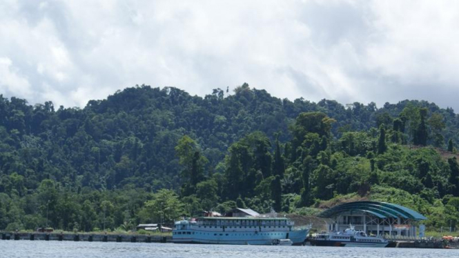 Ilustrasi Kawasan Raja Ampat