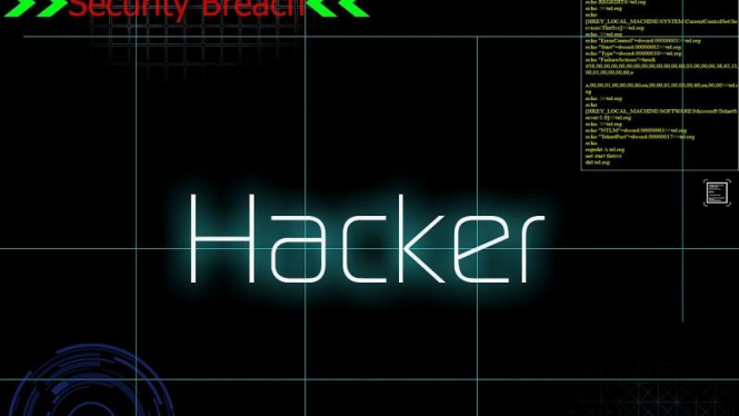 Hacker.