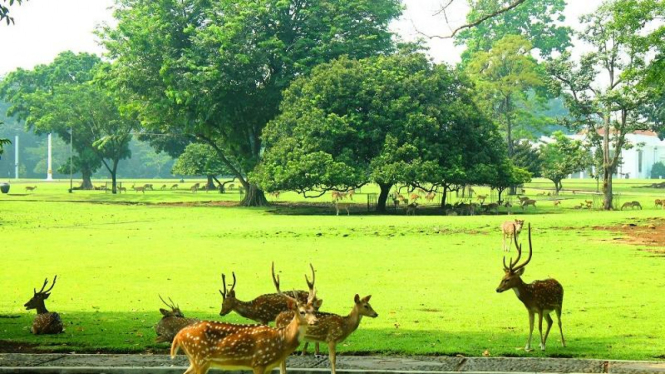 Pemandangan di sekitar Kebun Raya Bogor