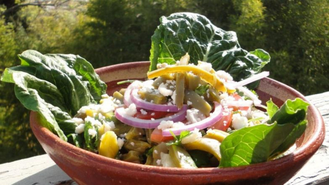 salad kaktus
