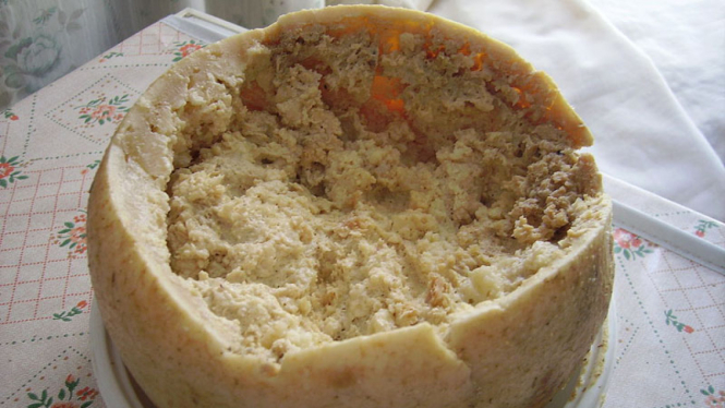 Casu Marzu
