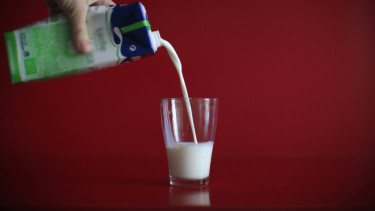 Ilustrasi Susu