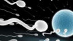 Photo Mini 1