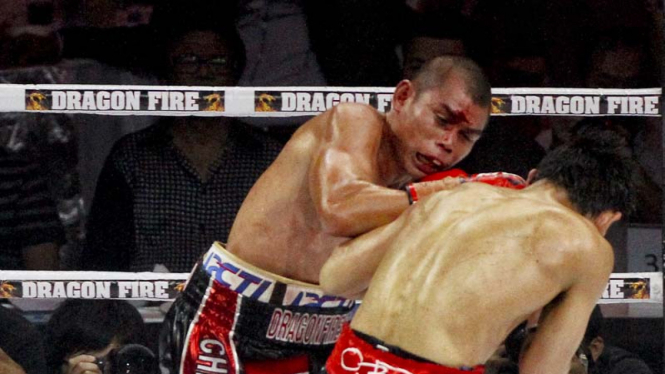 Chris John vs Satoshi Hosono