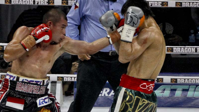 Chris John vs Satoshi Hosono