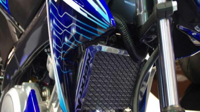Radiator motor