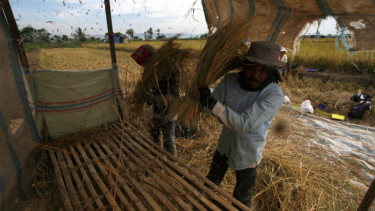 Petani Organik Toba Samosir