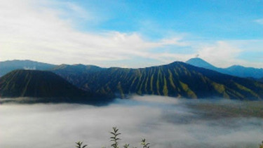 Bromo