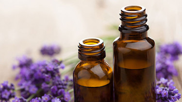 Minyak lavender