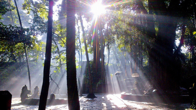Monkey Forest Ubud