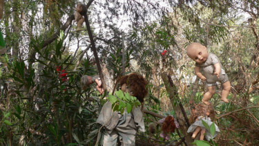 Island of the Dolls