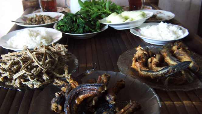 Sambal belut
