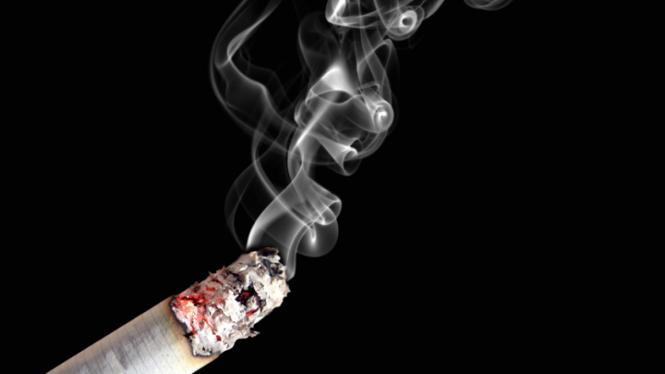 asap rokok