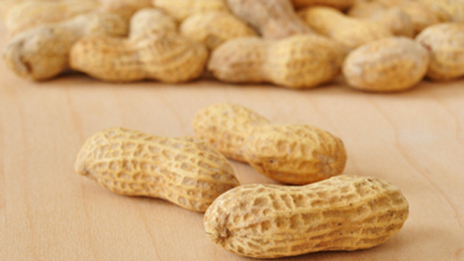 Kacang tanah